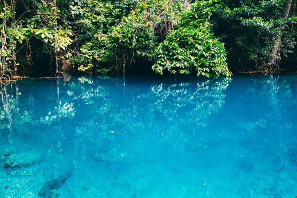 5 Best Things To Do In The Bahamas