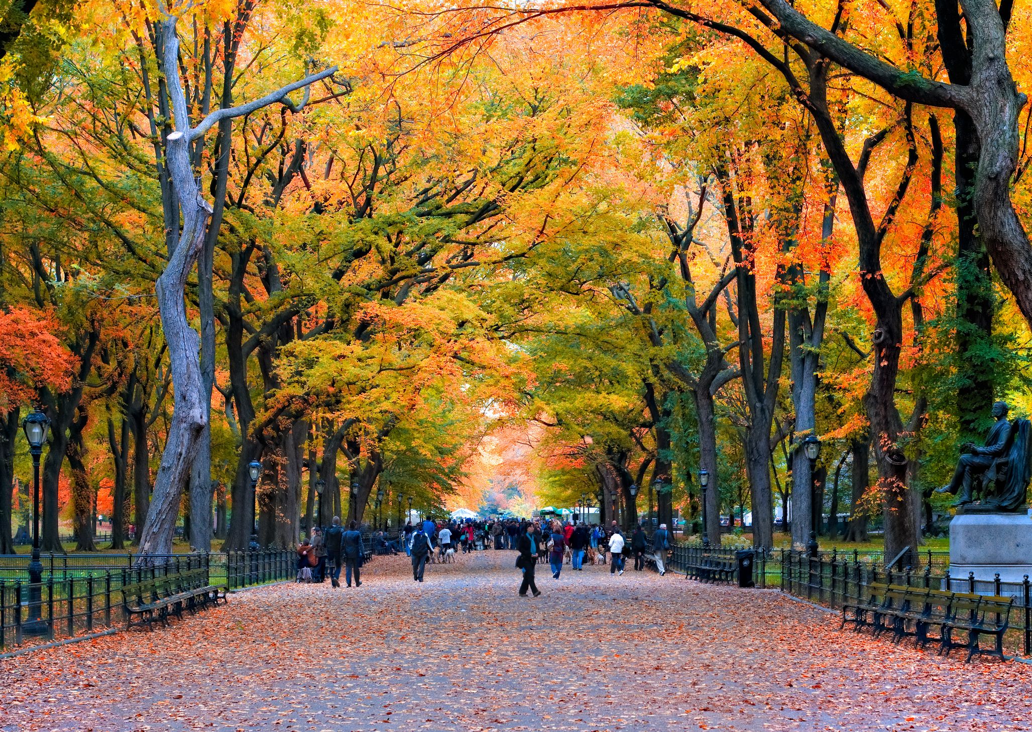 8 Destinations To Visit In New York During Fall