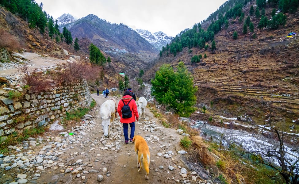 BEGINNERS TREKS IN INDIA