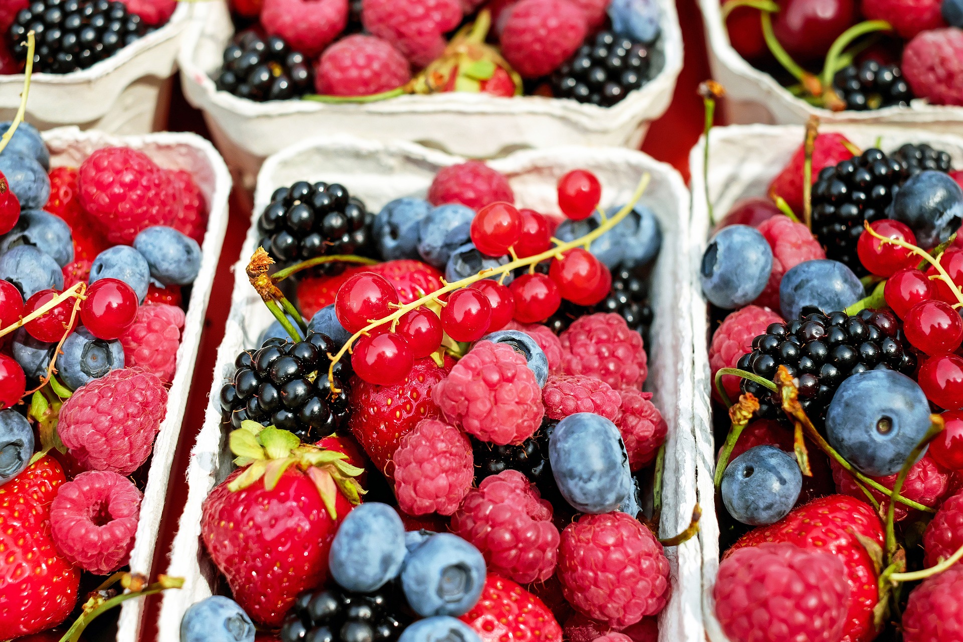 Top 5 Foods To Boost Your Bone And Muscle Health 