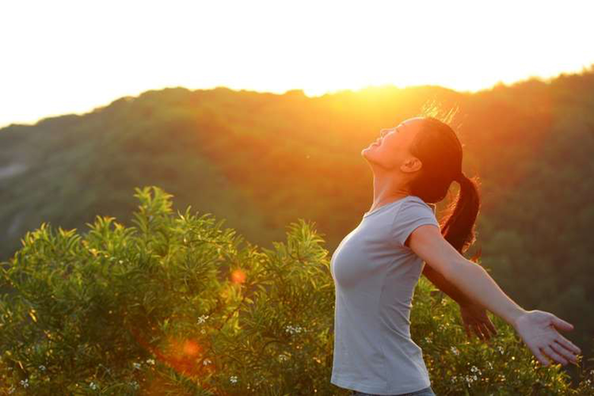 Naturopathic Approach To Treatment Of Kidney Diseases 