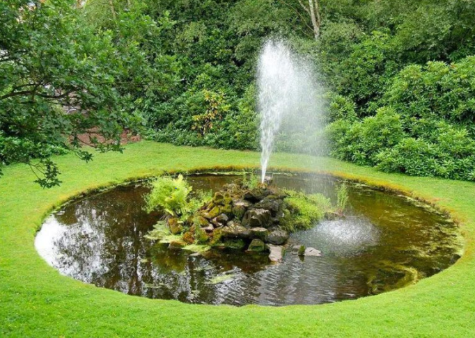 What are the Best Pond Pumps and Why Do I Need One?
