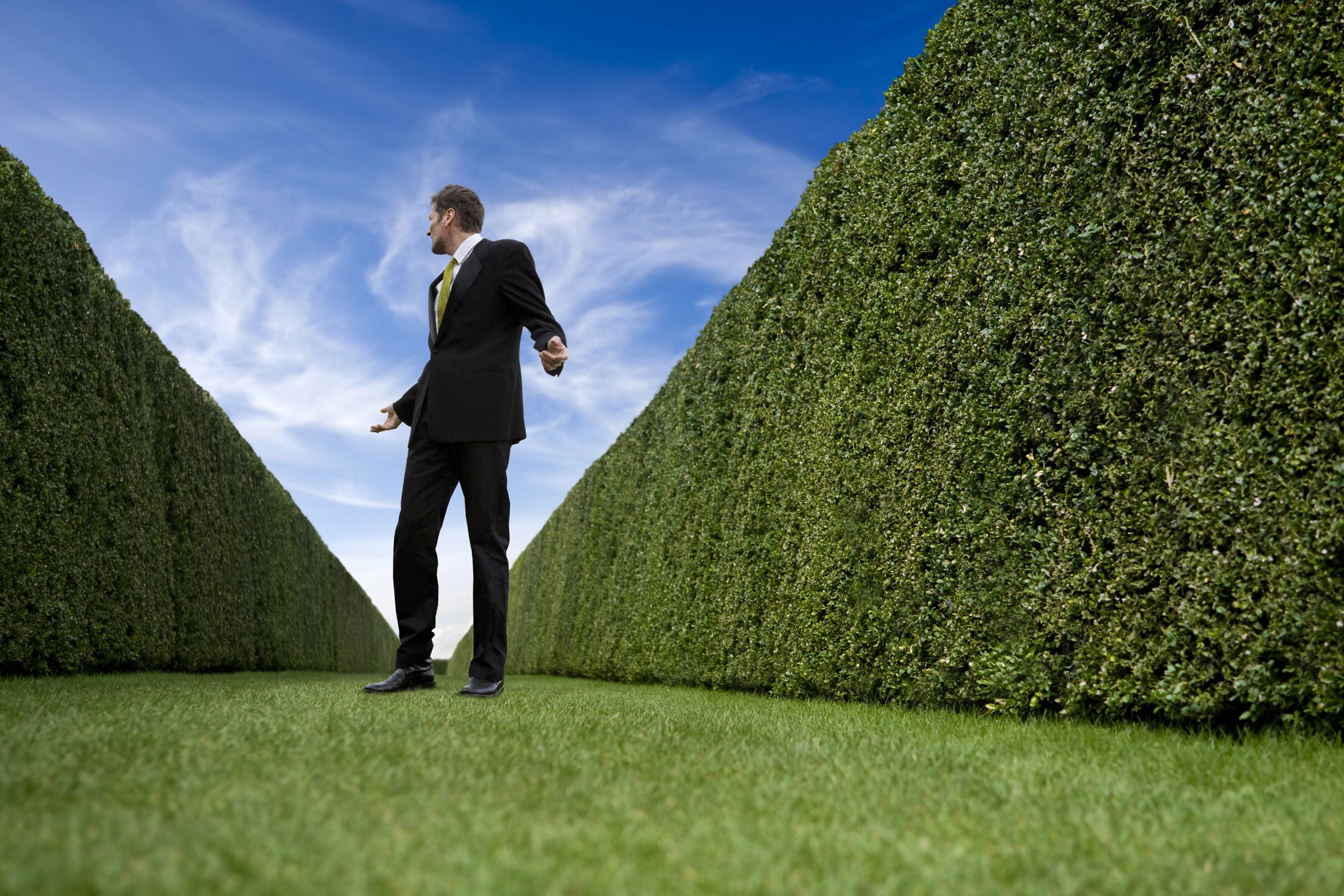 4 Best Hedging Techniques