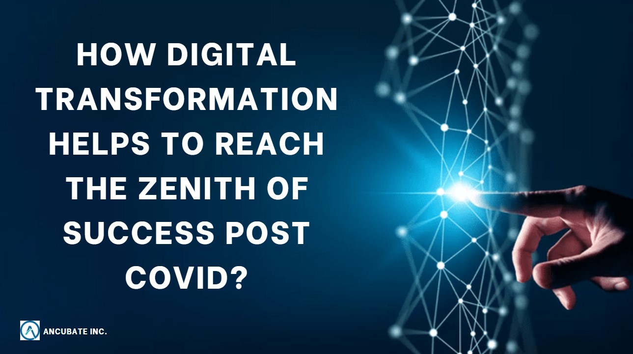 How Digital Transformation Helps to Reach the Zenith of Success Post COVID?