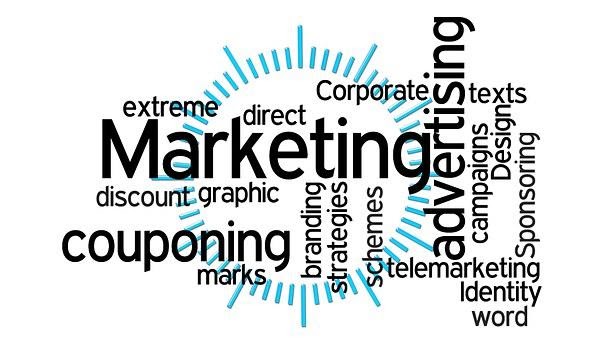       5 Ways by SEO Play a Big Role in Your Marketing Campaign