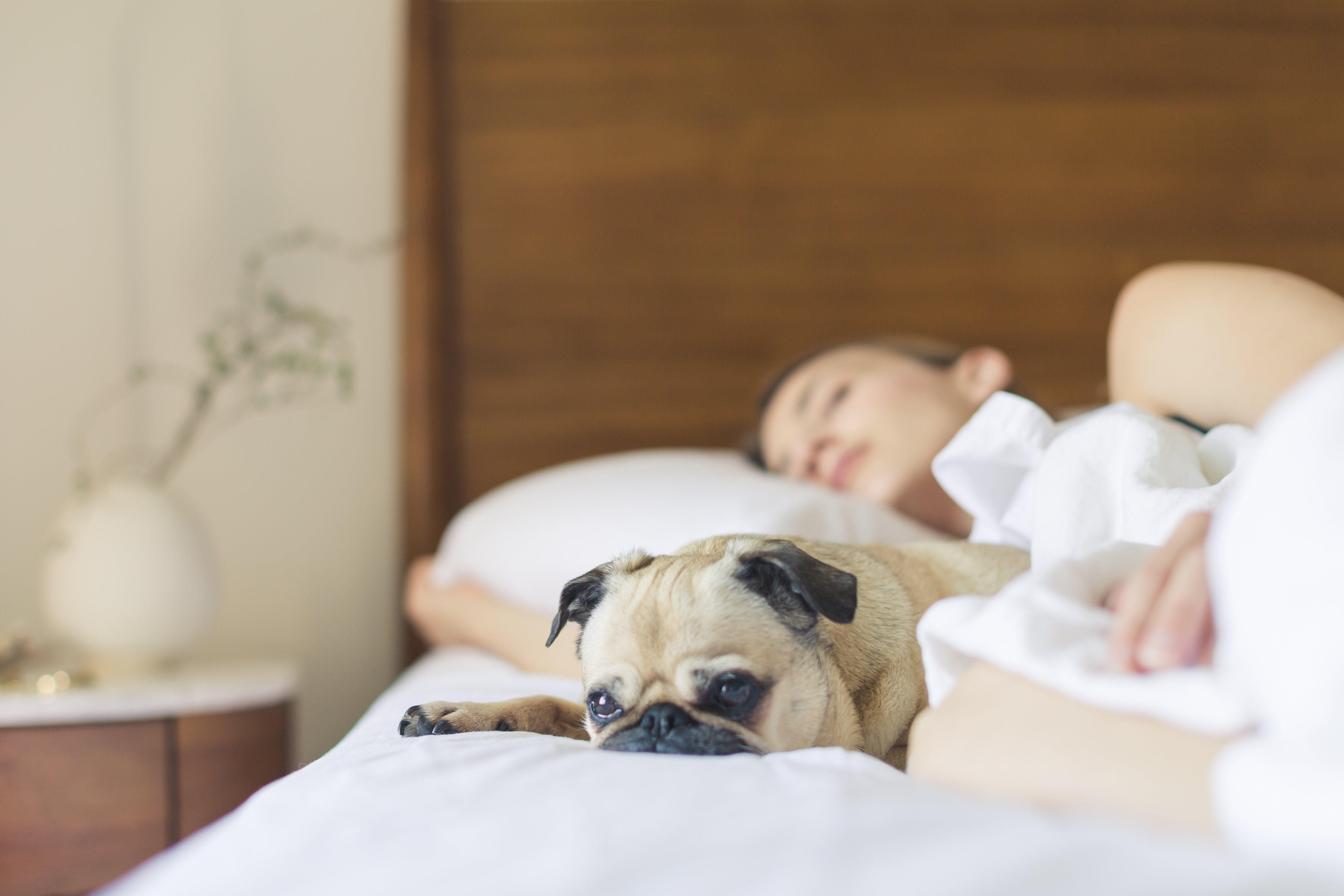 Narcolepsy a sleeping disorder