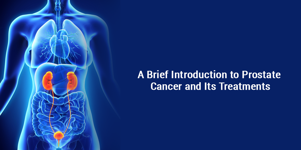 A Brief Introduction to Prostate Cancer and Its Treatments