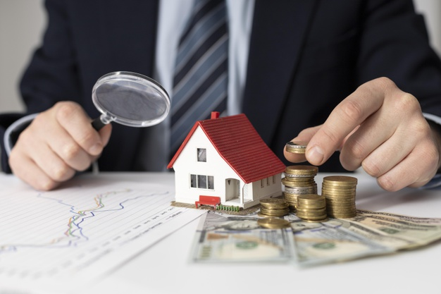 What Problems a Buyer Faces, Looking for a House for Sale