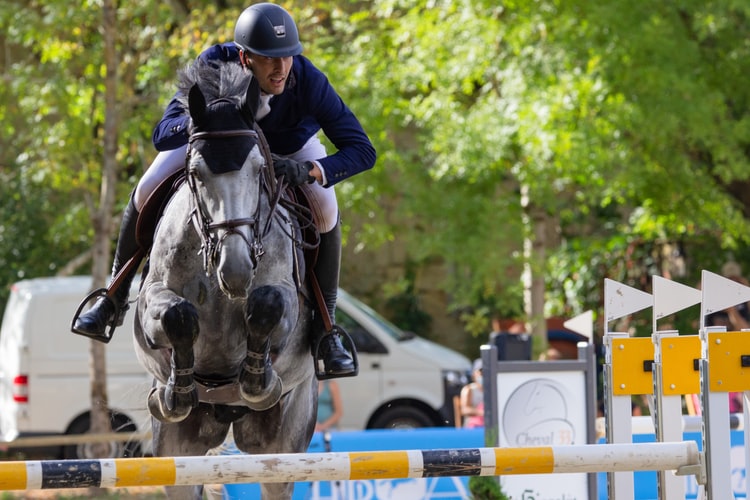 What are the Types of Horse Rugs?