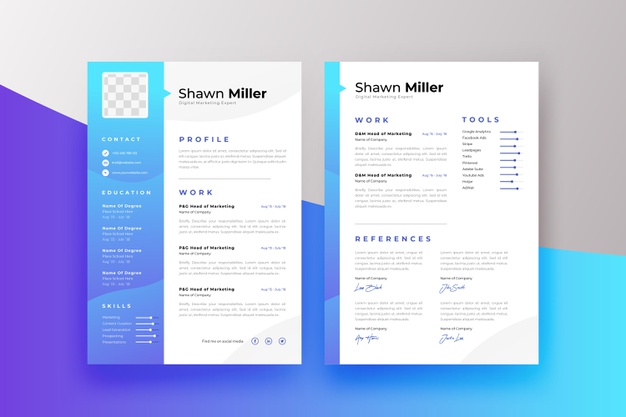 The What Is the Difference Between Visual and Infographics Resume?