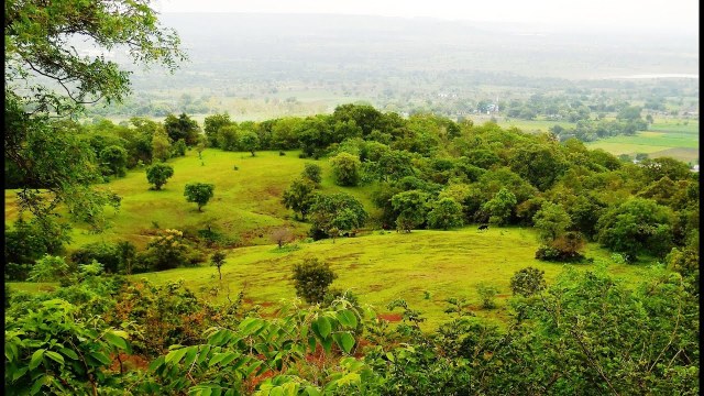 Everything You Need to Know About Ananthagiri Hills