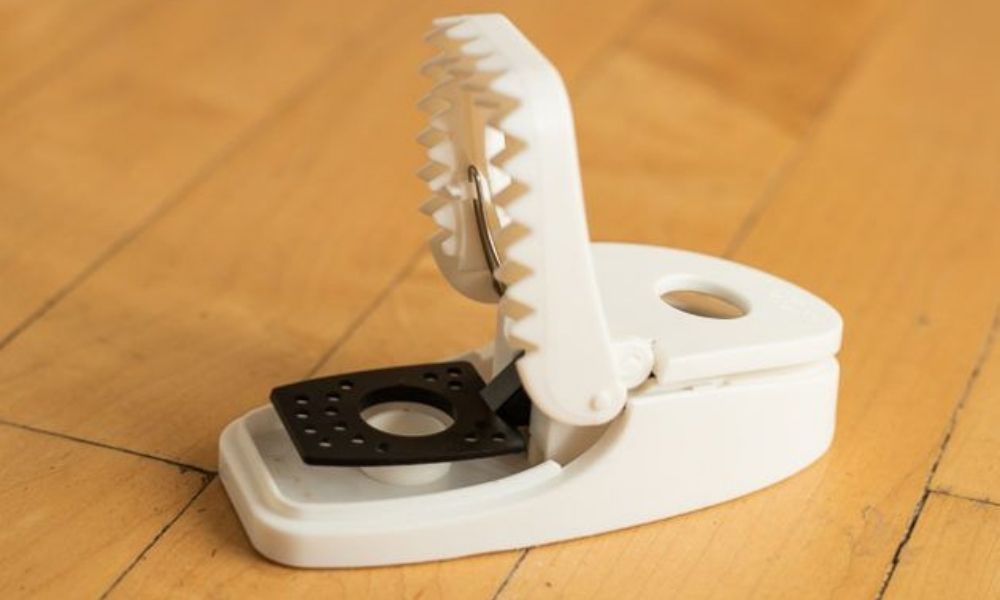 How to Get the Best Mouse Traps?