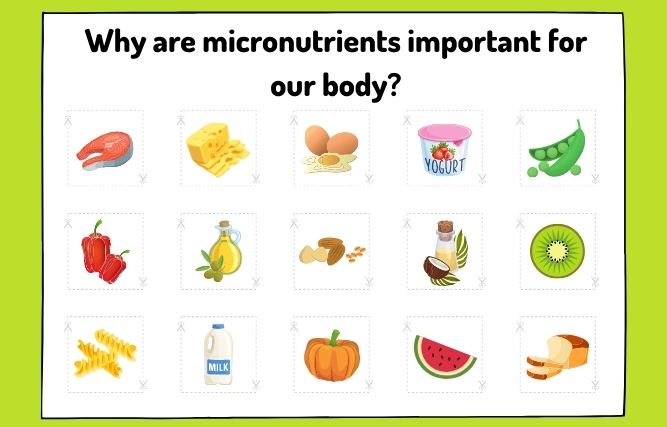 Why Are Micronutrients Important for Our Body?