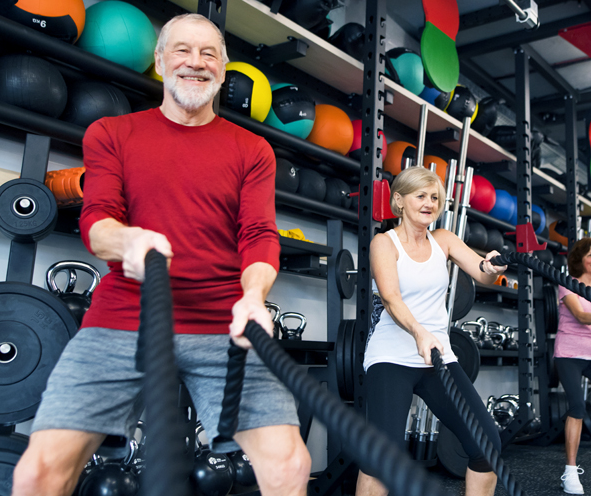 Why It Is Obligatory To Practice Software For Crossfit Exercise Studio?