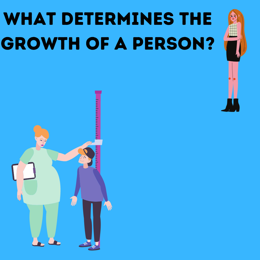 What Determines The Growth Of A Person?