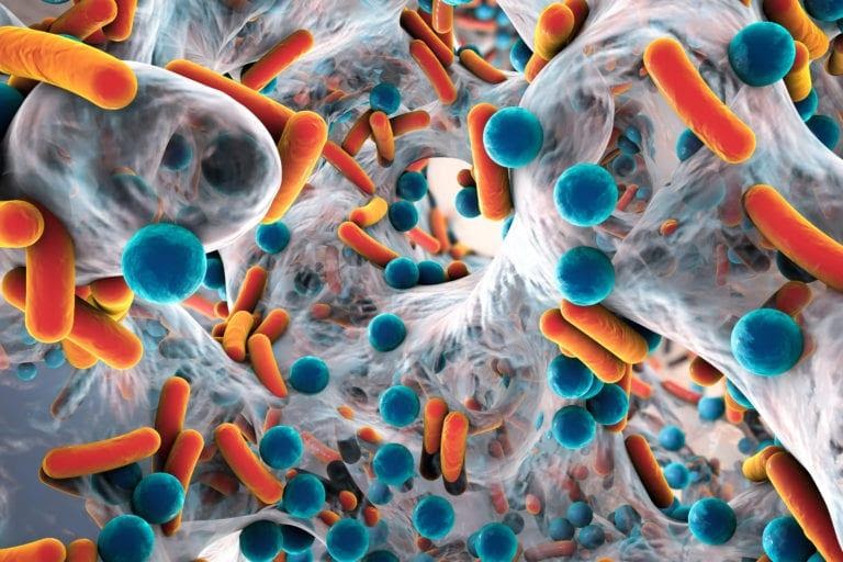 Assume a Part in Establishing a Sound Climate With the Assistance of Antimicrobial Covering