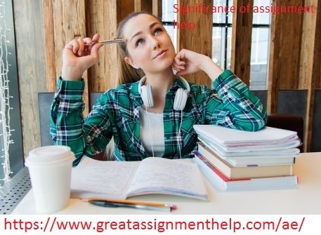 Get Your Online Assignment Help From the Best Minds 