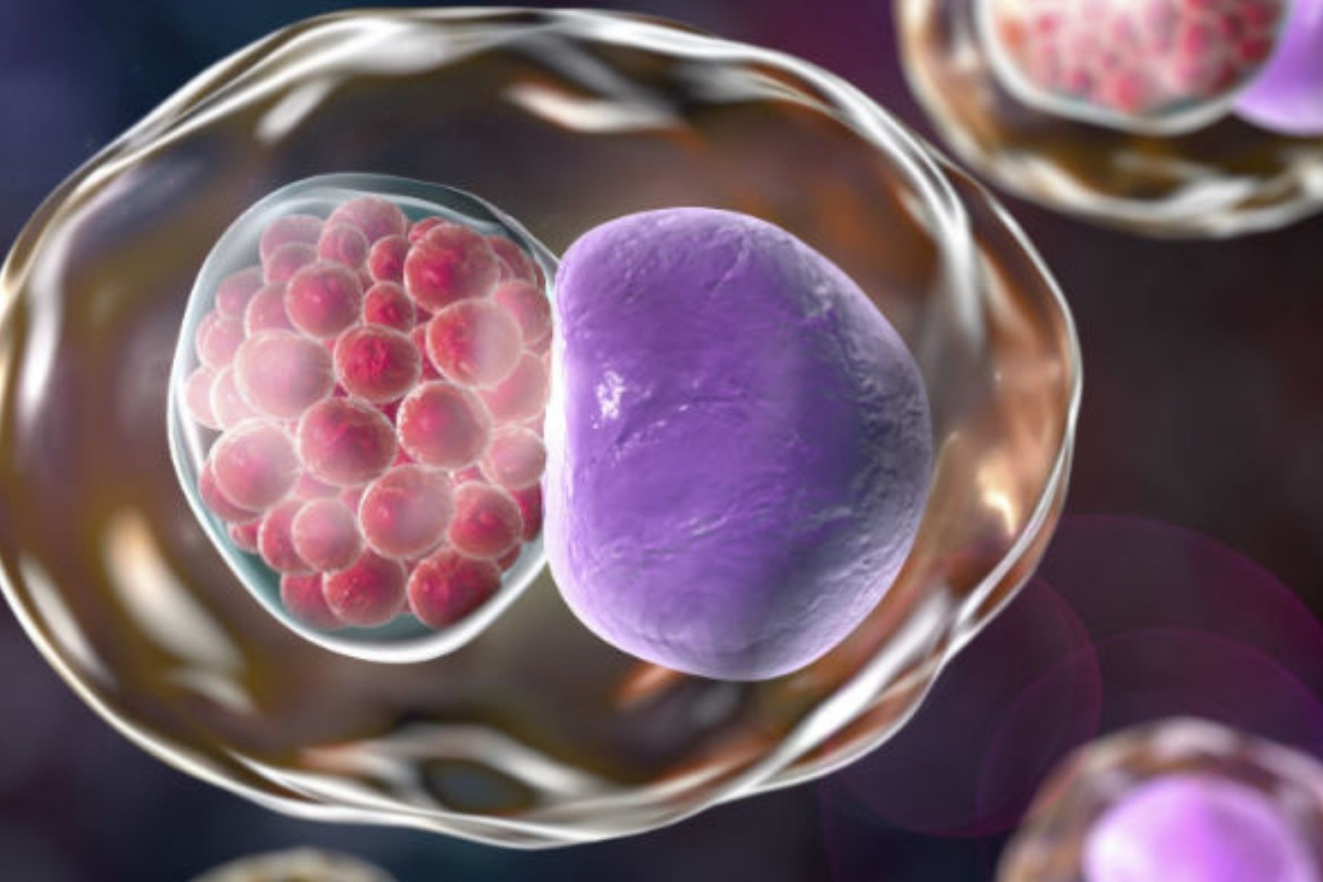 Top 7 Chlamydia Myths Busted to Keep You Healthy and Safe