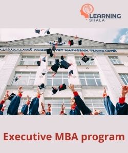 Dont Quit Your Job, Get the Top Distance Executive MBA Program in India