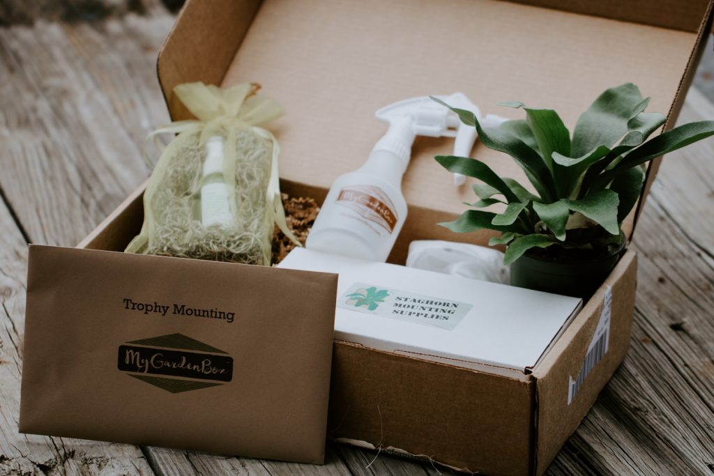 How Might You Create Eye-Catching Custom ECo-friendly Boxes?