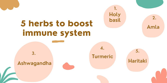 11 Ingredients to Boost Your Immune System as per Ayurveda