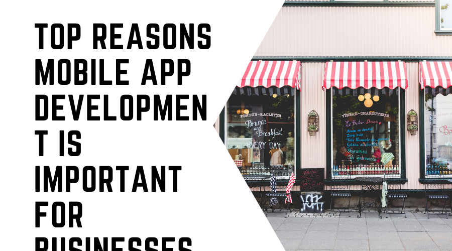Top Reasons Mobile App Development Is Important for Businesses