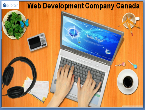 Important Features Of  Web Development 