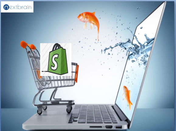 Best Shopify Ecommerce Website Development Company in Toronto