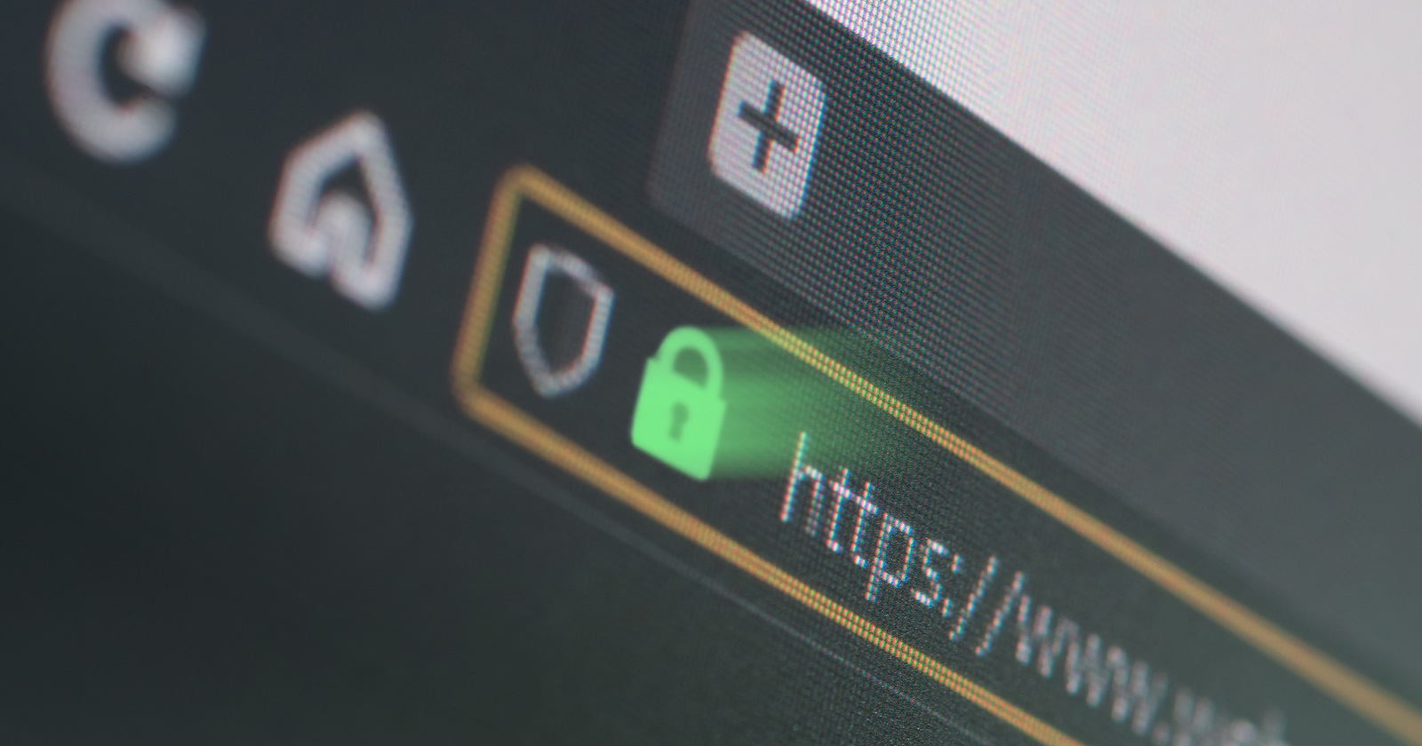 Why Should You Opt For Paid SSL Certificates?