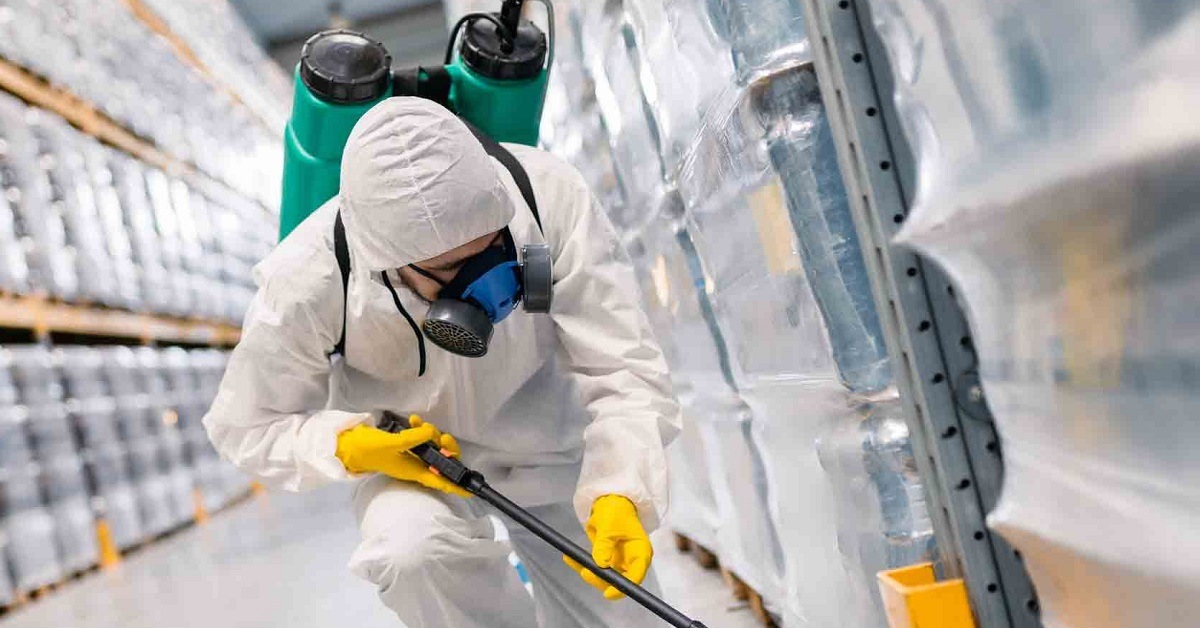 How Professional Pest Control Prevents Termite Infestation in Your House