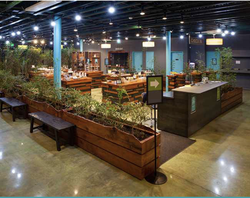 Buy Hybrid Marijuana Flower at a Phoenix Dispensary Near Me.