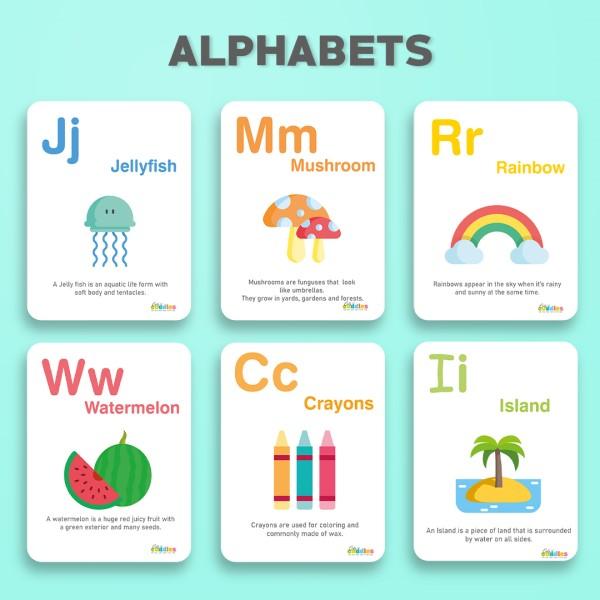 How to Use Babies Flashcards