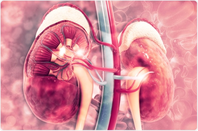 Chronic Kidney Failure