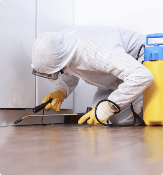 10 Reasons to Get Dead Animal Removal Perth