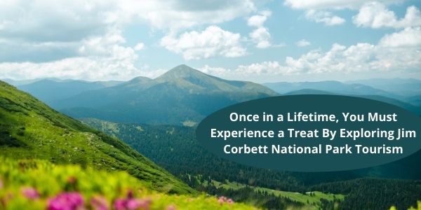 Once in a Lifetime, You Must Experience a Treat by Exploring Jim Corbett National Park Tourism