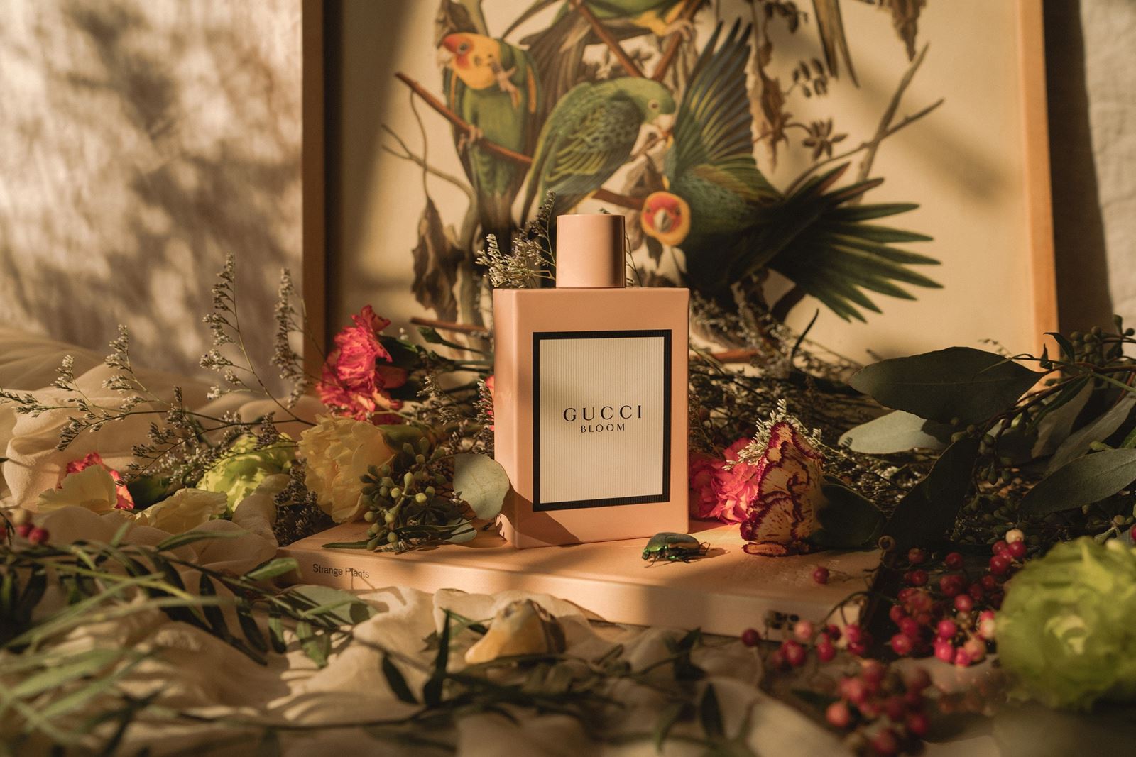 Gucci Perfumes Online Canada