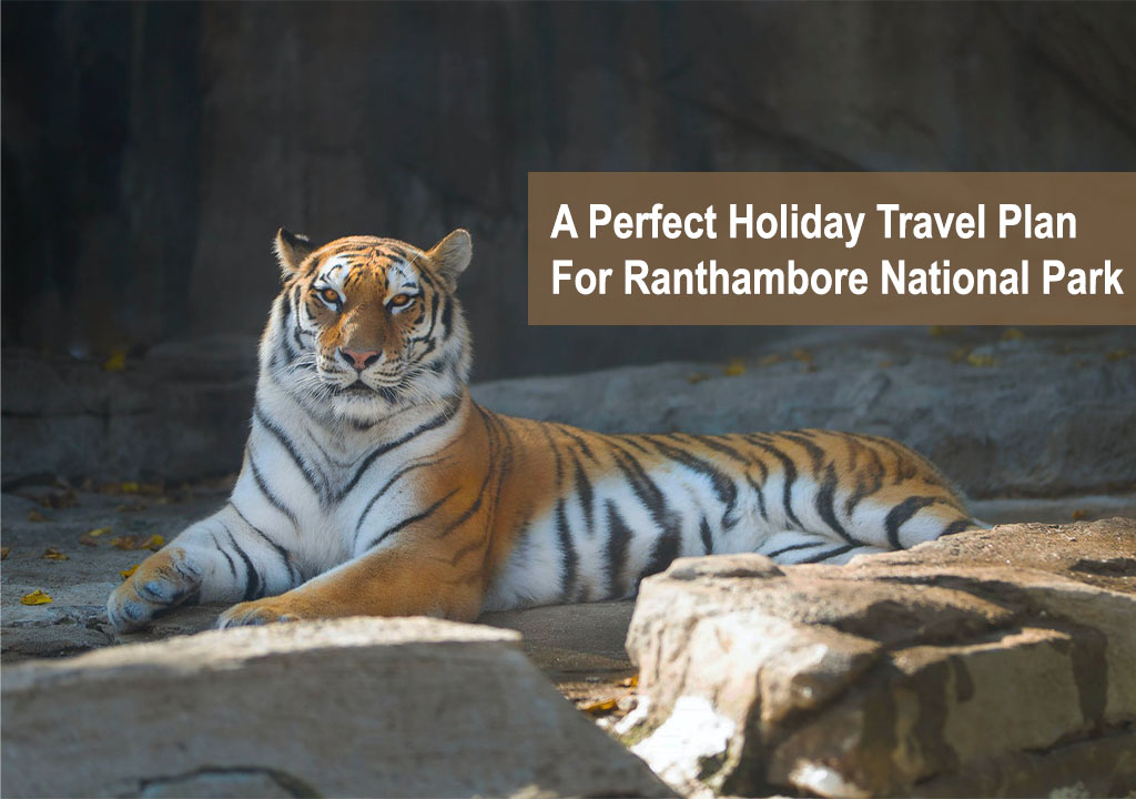 A Perfect Holiday Travel Plan for Ranthambore National Park