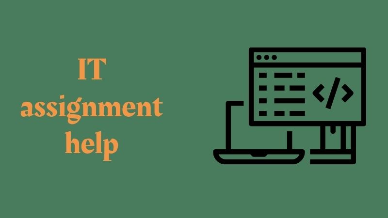 Want the Best Solution for It Assignment Help by Experts