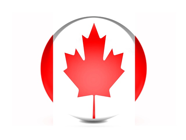 Provincial Nominee Program (Pnp) Immigration Options for International Students in 2022