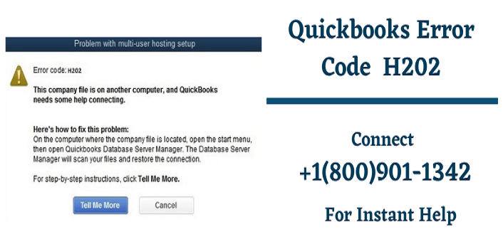 Quickbooks Error Code H202