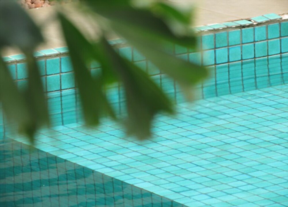 Importance of Pool Fencing- Here Are Important Points to Note 