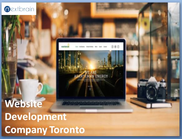 What Can a Website Development Company Canada Can Do for Small Businesses?