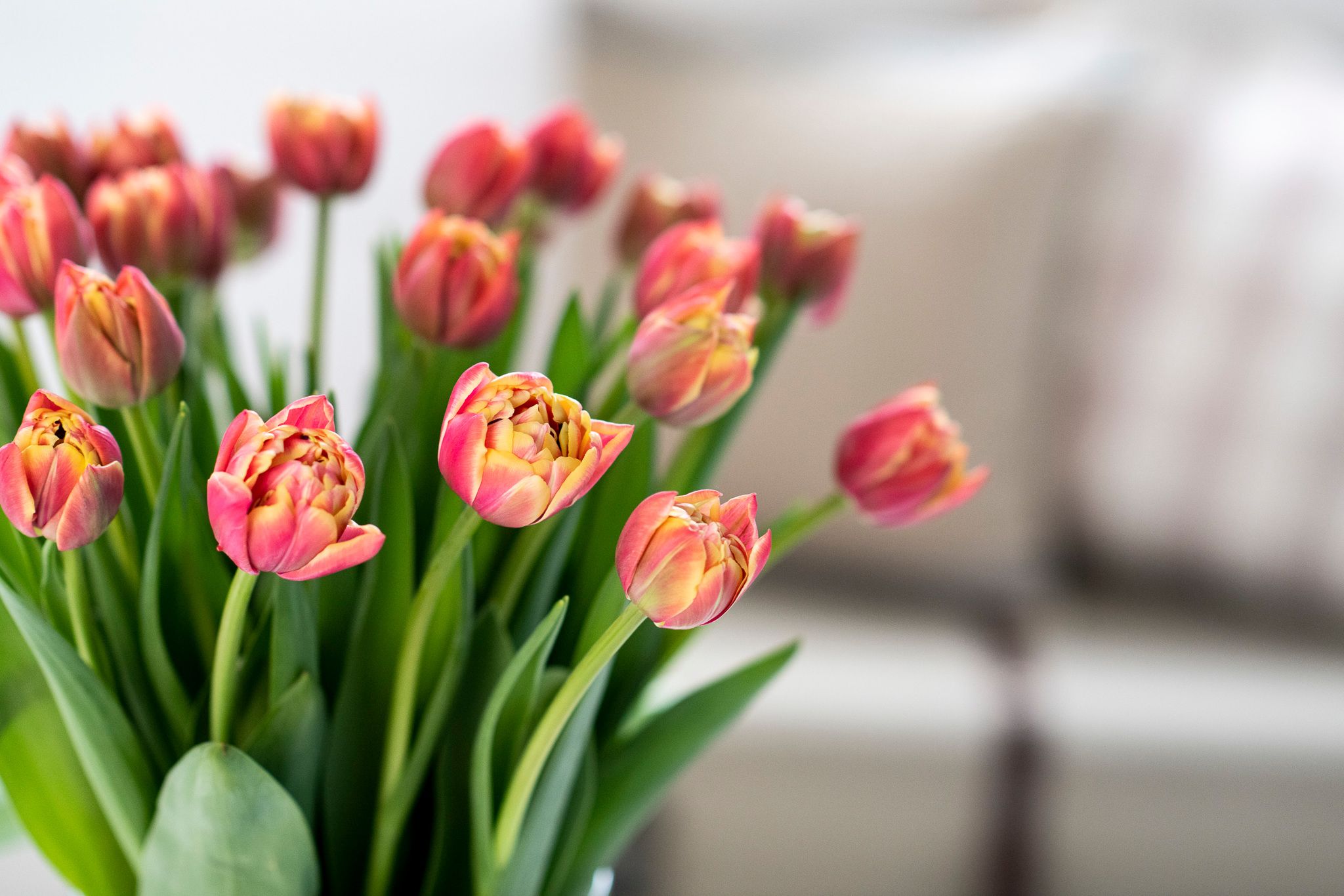 Trendiest Flowers in 2022