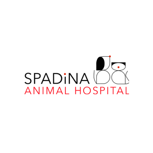 The Best Vet Hospitals in Toronto, Ranked by Quality of Service