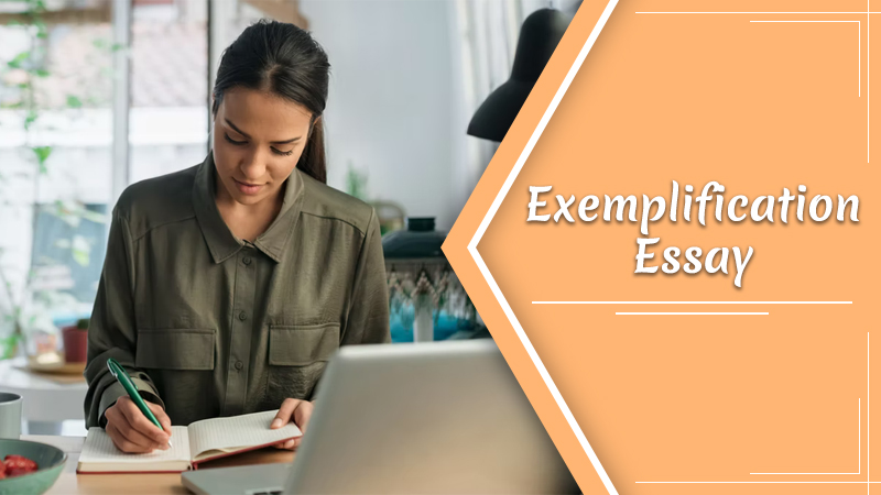 How to Create an Exemplification Essay Outline?