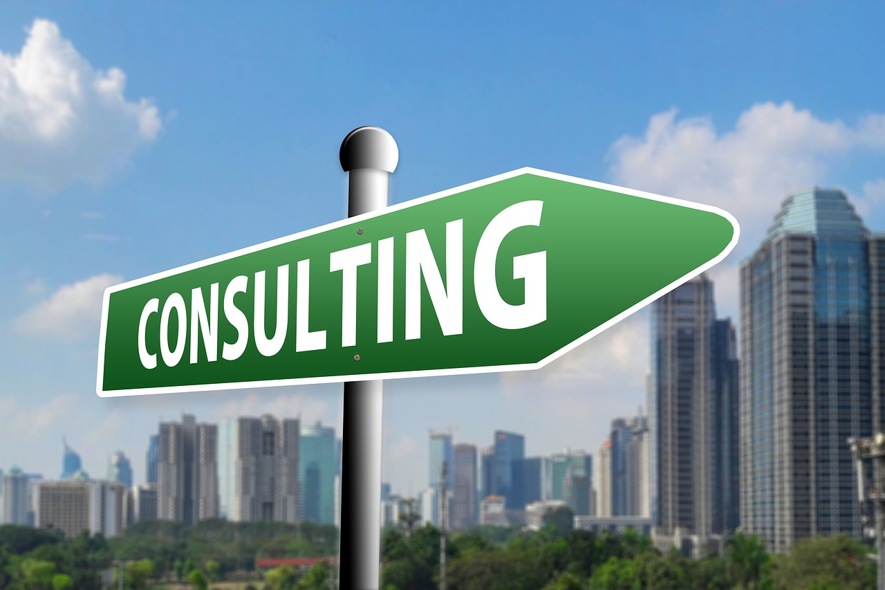 Why Every Company Should Have a Business Consultant