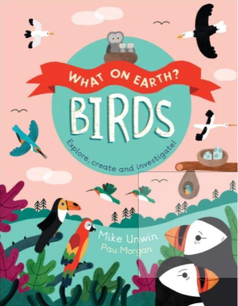 Best Bird Book for Kids and Toddlers