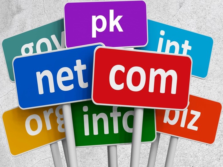 Why There Is an Obligation to Register a PK Domain?