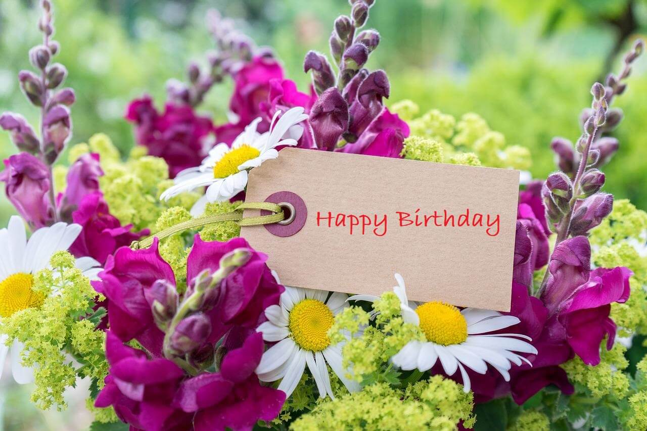 Beautiful Birthday Flowers for Your Family and Friends