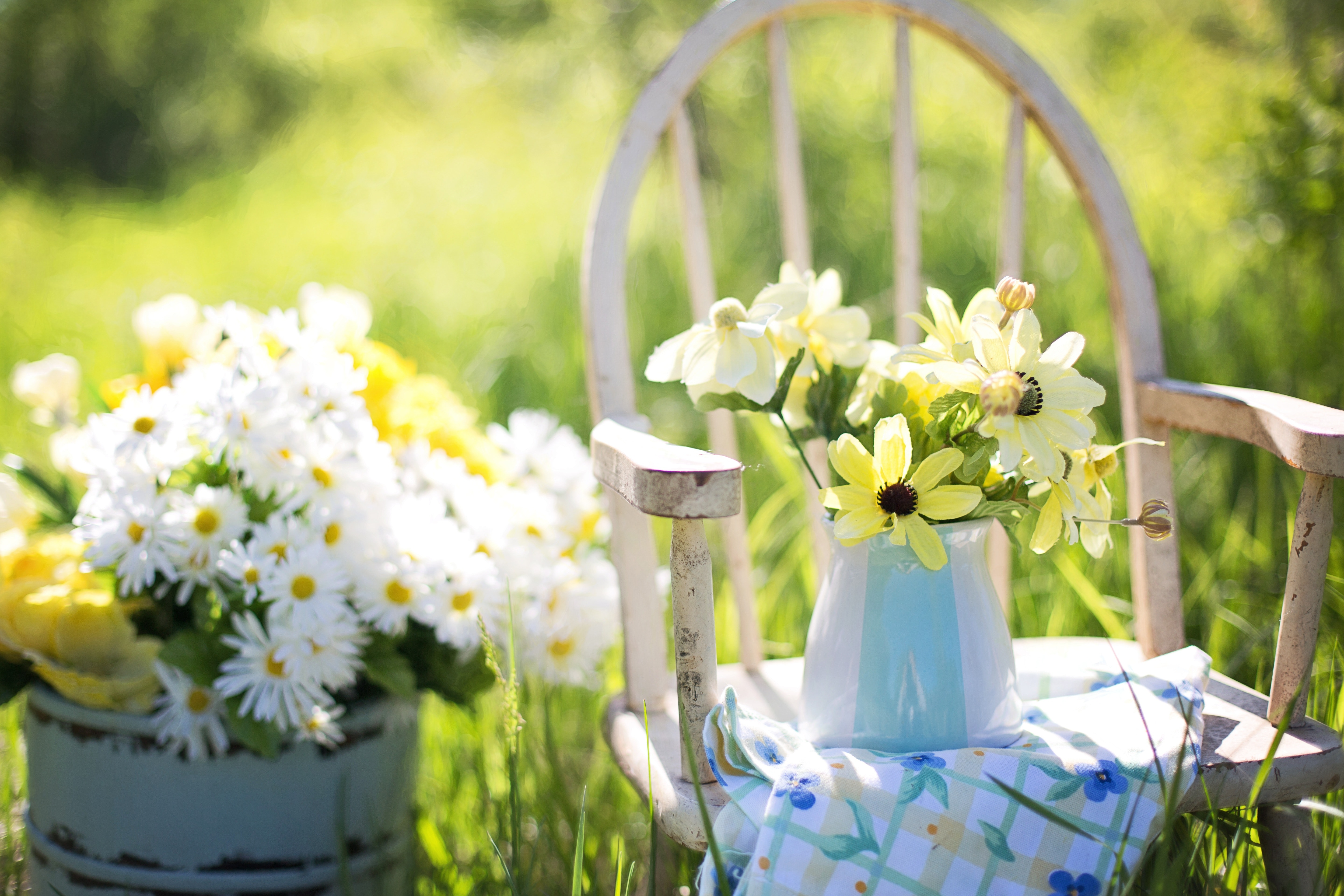 List of Trending Summer Flowers  List of Trending Summer Flowers